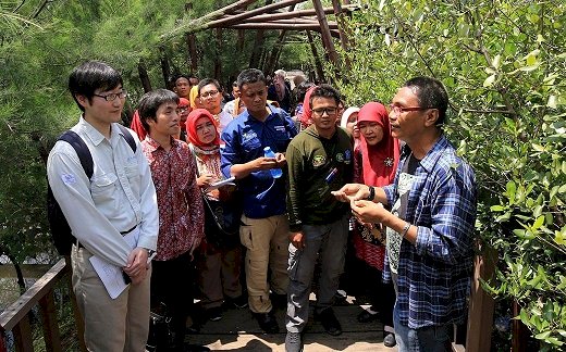 Surabaya Bakal Punya Kebun Raya  Mangrove Terbesar Dunia