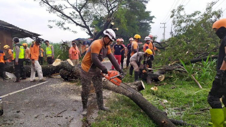 Angin Kencang Terjang Dua Kecamatan di Jombang