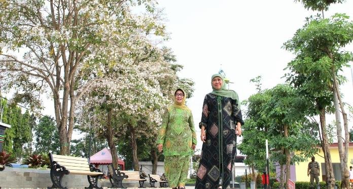 Terpukau Keindahan Bunga Tabebuya di Jombang, Khoafifah Ajak Warga Nikmati Suasana ala Jalan Negeri Sakura