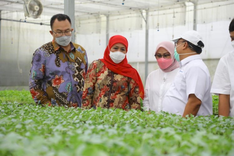 Gubernur Khofifah Berharap Kerjasama Sektor Pertanian dan Pengembangan Desa Jatim Makin Kuat