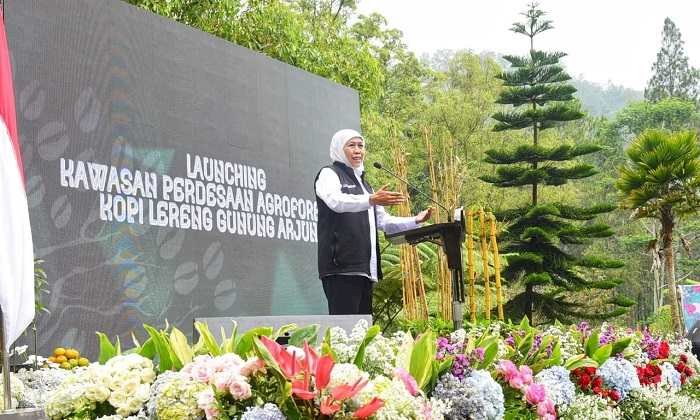 Launching Agroforestri  Kopi Lereng  Gunung Arjuno,  Khofifah Optimis Produknya Tembus Pasar Ekspor