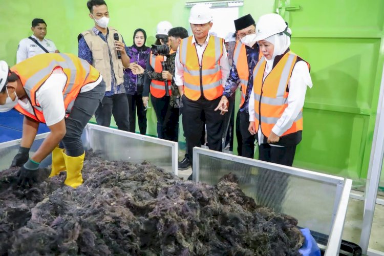 Khofifah Lepas Ekspor 15 Ton Rumput Laut ke Australia
