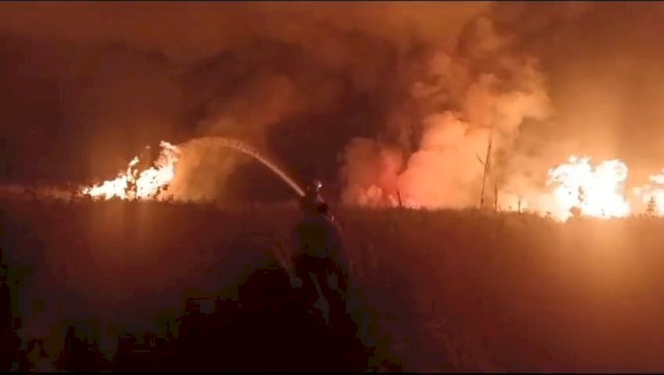 Lahan Bandara Banyuwangi Terbakar